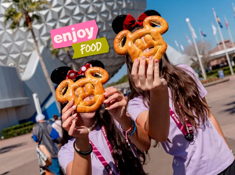 Disney VIP