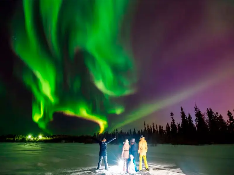 Tromsö Aurora Boreal